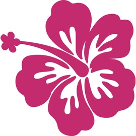 hBARSCI Hawaiian Flower - 11 Inches for Walls, Windows, Doors, Vehicles Outdoor-Grade 2.5mil Thick Vinyl Pink
