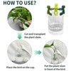 ChengJin 3PCS Plant Propagation Friends,Cute Plant Propagation Buddy,Aquatic Plant Support,Funny