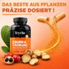 Tryvite Konjac Active — Plant Complex with Konjac, Nopal, Mate,