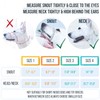 GoodBoy Dog Head Halter with Safety Strap - Stops Heavy