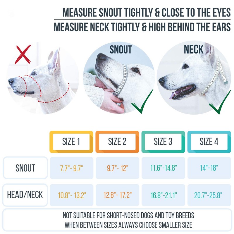 GoodBoy Dog Head Halter with Safety Strap - Stops Heavy