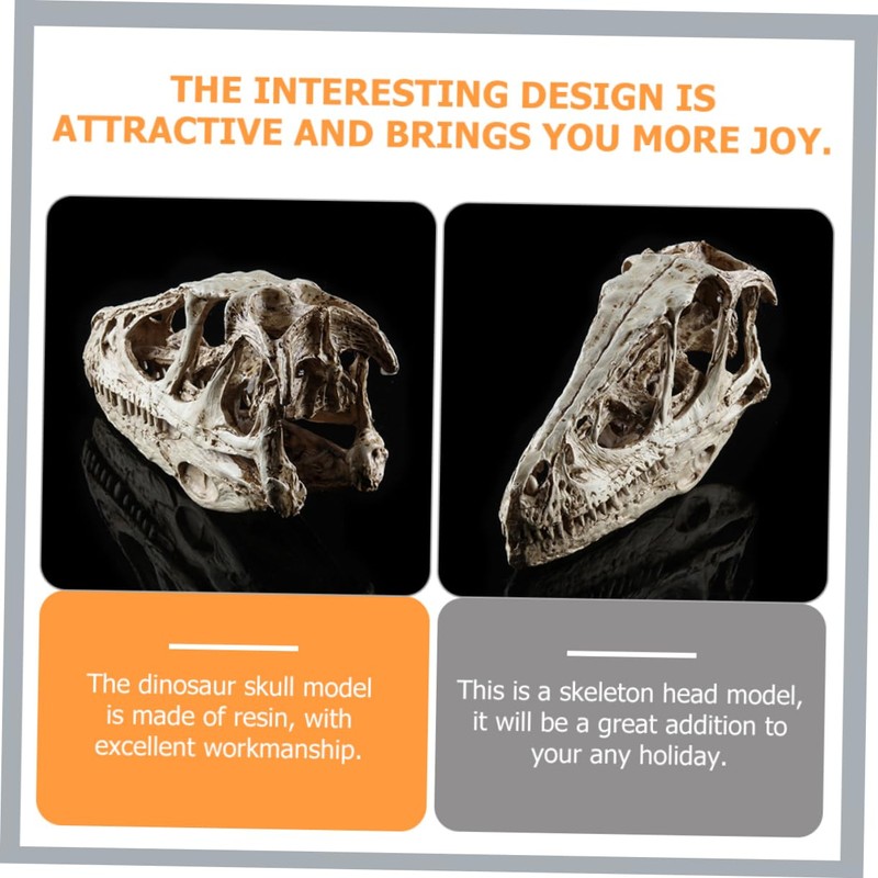 VILLFUL Unique Dinosaur Skull Model Skull Specimen Attractive Design for