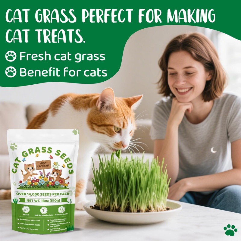 18oz Cat Grass Seeds Bulk - Over 14000+ Premium Cat