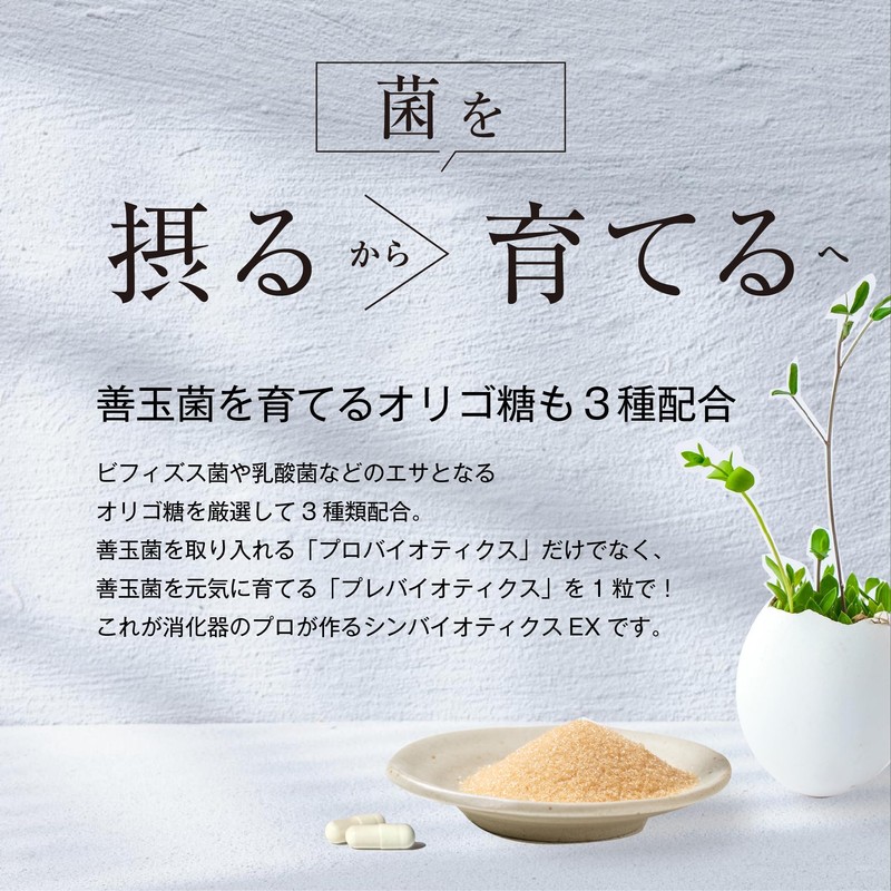 ナースキュア シンバイオティクス EX 30粒