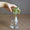 KINTO 20841 Flower Vase, Aqua Culture Base, 3.1 inches (80