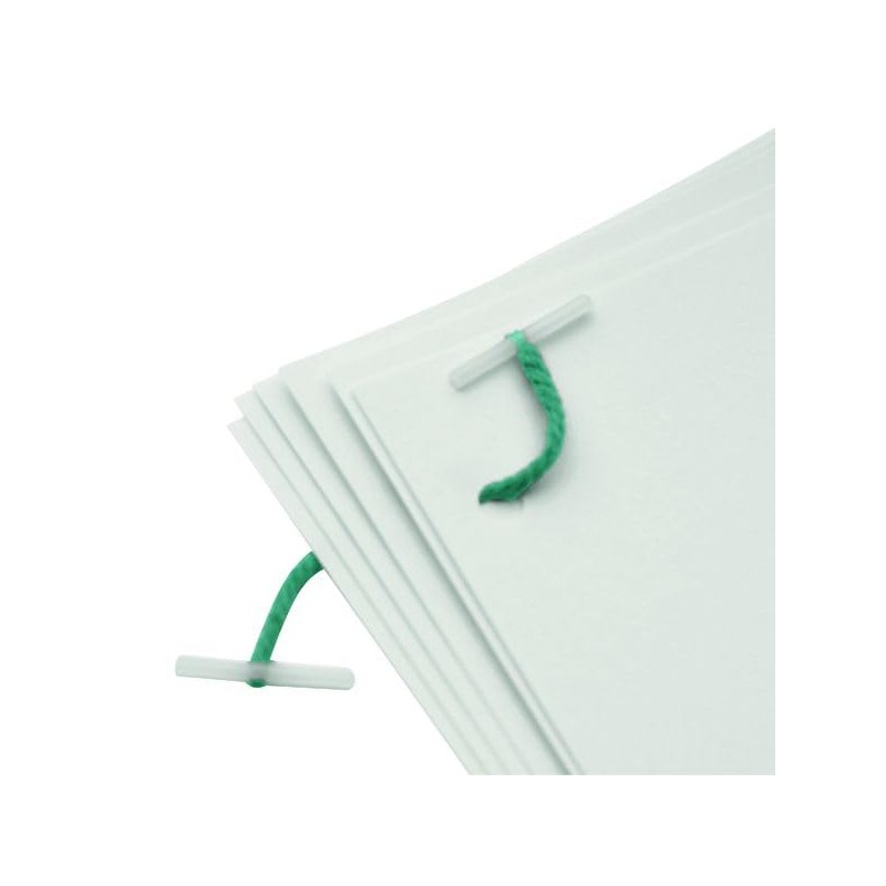 Paper Sense | 100 X 25mm Treasury Tags | Green