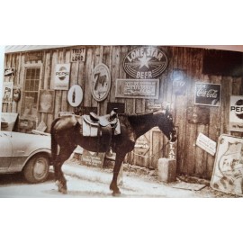 Luckenbach, TX Texas  GENERAL STORE & POST OFFICE  Gillespie County  Postcard