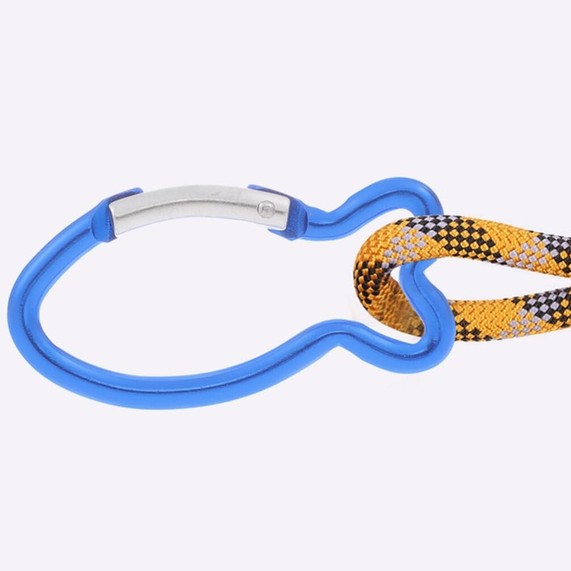 HOODANCOS 12Pcs Carabiners Clip, Fish Shape Spring-Loaded Gate Key Chain