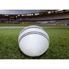 Cricket Ball (Pack Of 2) 156g - 5.5oz, Leather Hnad