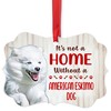 House is Not A Home Without American Eskimo Dog Running