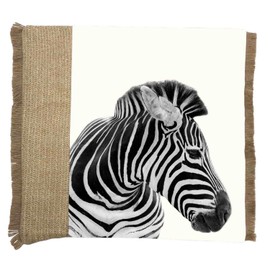 Macosa U144268 Decorative Cushion Zebra or Elephant 30 x 50 cm 45 x 45 cm Beige Grey Including Filling Sofa Cushion Africa Decorative Cushion with Zip Decorative Couch Cushion (45 x 45 cm)