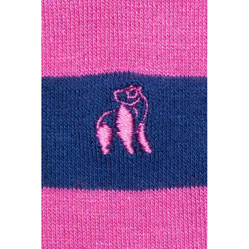 SWOLE PANDA Pride Stripe Bamboo Sock Bundle - Four Pairs