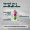 SOLVISAN LEBER VITAL* 4-fold complex with choline for your liver,