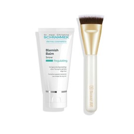 Blemish Balm Snow 40ml + Brush / 블레미쉬 밤 스노우 40ml + 브러쉬