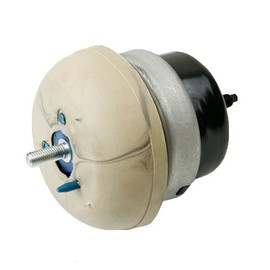 OMNI5 K2436 Compatible with Fits 2000-2006 Ford Thunderbird/Lincoln LS 3.0L 3.9L Front L&R Motor Mount : A5254, A5254