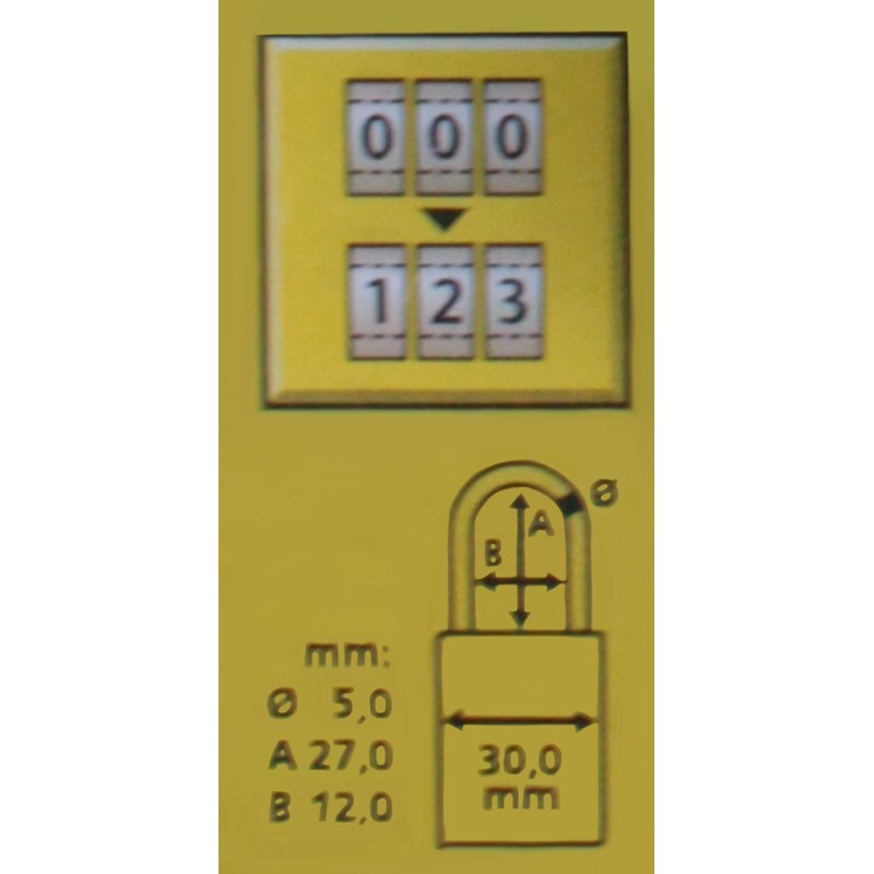 Burg-Wächter 5mm Shackle Padlock 2 Keys 91F 30 Graffiti SB