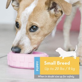 KONG - Puppy Tires - Soft Rubber Chew Toy and Treat Dispenser (Assorted Colors) - for Small Puppies