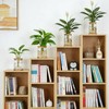 Plant Propagation Station Glass Planter Terrariums with Wooden Lid