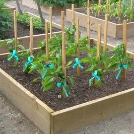 4 Rolls Stretch Tie Tape, 1/2 Inch Wide Garden Tie Tape Thick Plant Ribbon Garden Green Vinyl Stake for Branches, Flowers, Plants, Total 600 Feet (0.95 Inches)