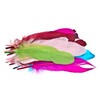 edukit Feathers Multi Pack, 420 Pieces; Quill, Goose, Peacock, Pheasant