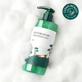 ROUND LAB Pine Calming Cica Shampoo 400ml - ROUND LAB Pine Calming Cica Shampoo 400ml