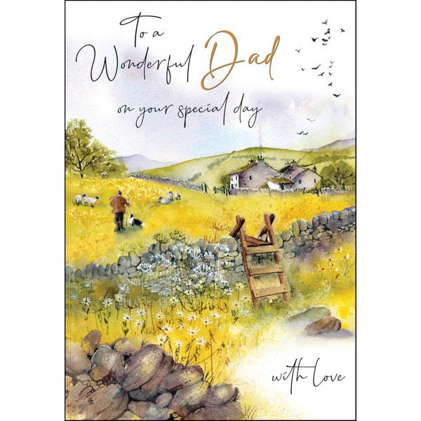 Jonny Javelin Dad Birthday Card - Happy Birthday Card with