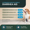 VetriScience Quick Action Diarrhea Aid Paste - Occasional Diarrhea Support