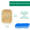 Natural Loofah Kitchen Sponge (3 Pack) - Natural Sponges for