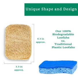 Natural Loofah Kitchen Sponge (3 Pack) - Natural Sponges for Dishes - Eco Friendly and Compostable Sponges - Plant Based Kitchen Dish Biodegradable Sponge