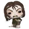 Funko POP! Movies #1295 The Lord of The Rings Smeagol