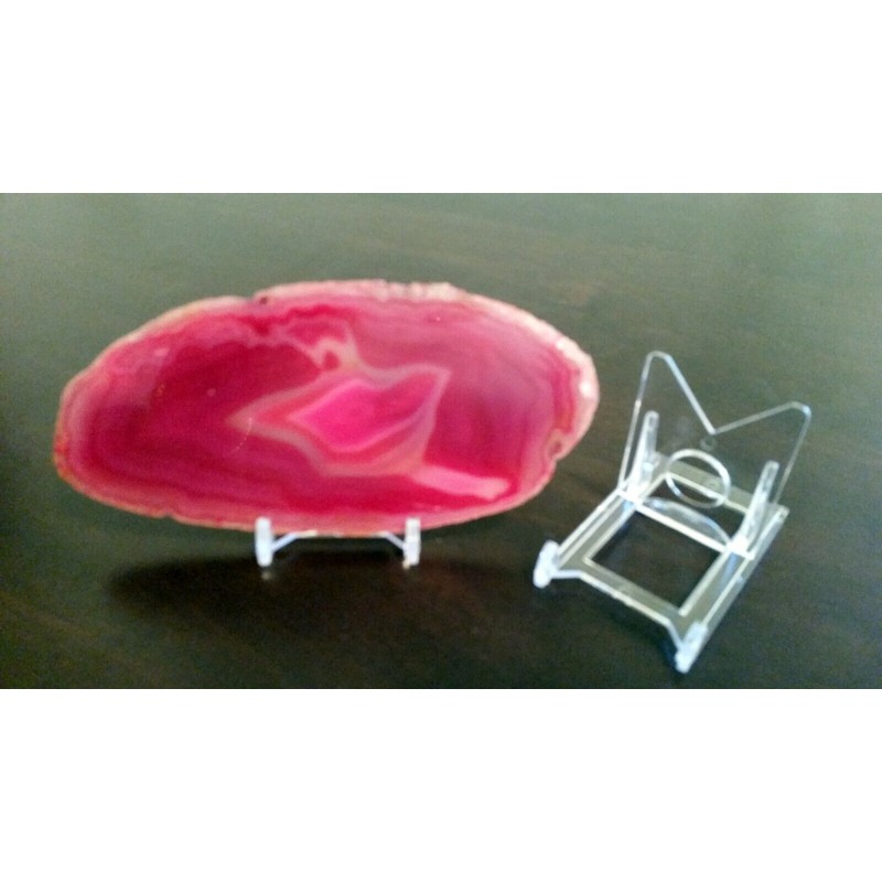 *25 Adjustable 2" Display Stand Easel Megalodon Shark Tooth Teeth