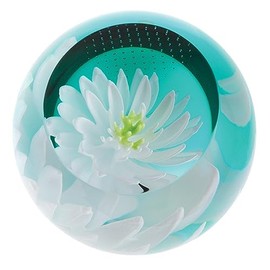 Caithness Glass Paperweight, Multi-Colour, One Size