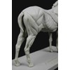 3dtotal Anatomy: Equine figure
