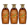 Organist Argan Nutrition Care Shampoo 500ml 3pcs / 오가니스트 아르간