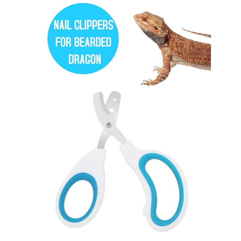 Stainless Steel Bearded Dragon Nail Clippers,Lizard Nail Clippers,Bearded Dragon Supplies,Bearded