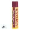 Burt's Bees Moisturizing Lip Balm, Pomegranate, 4.25g, 2 pieces / 버츠비 모이스춰 라이징 립밤, 석류, 4.25g, 2개