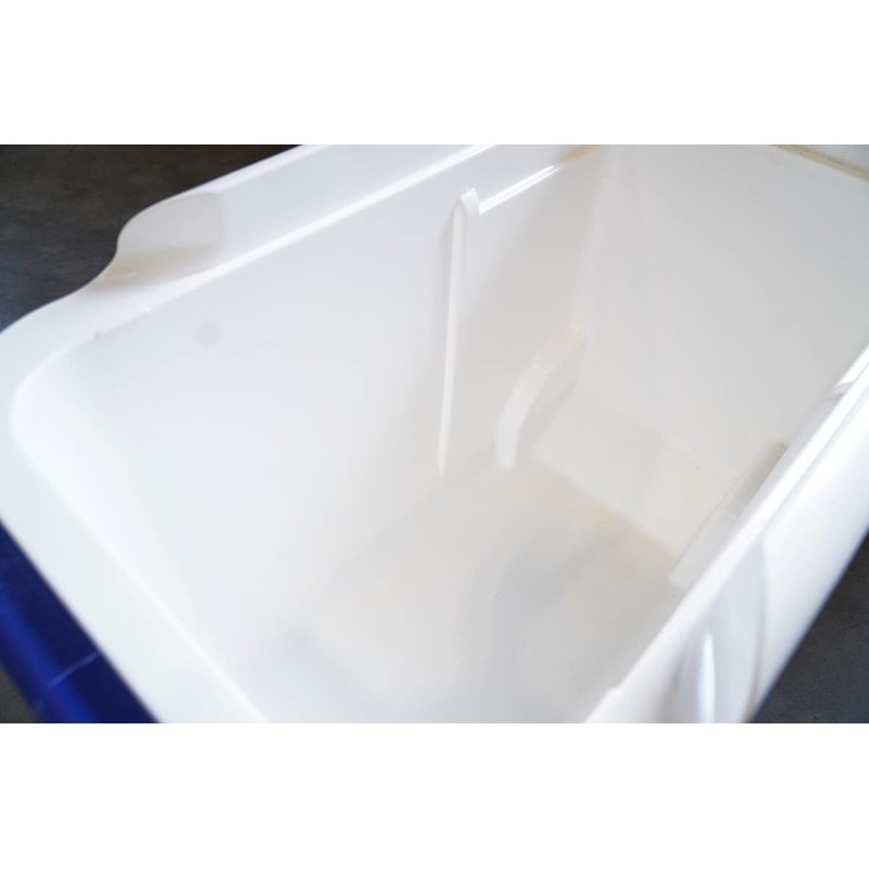Marine 31 Mildew Stain Remover & Cleaner - Marine &