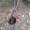 Rope Retention Pulley 22000lbs Heavy Duty Winch Snatch Recovery Ring
