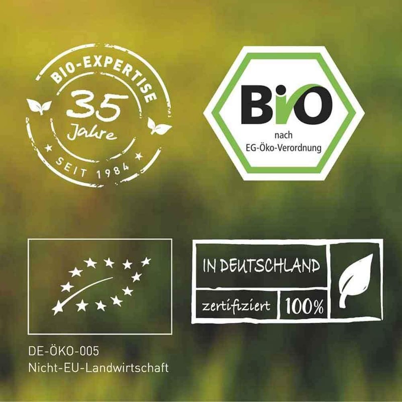 Biotiva Chlorella Tablets Organic High Dose – Pack of 300