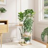 Bamworld Soporte para Plantas de Interior de Metal, Soportes Blanco