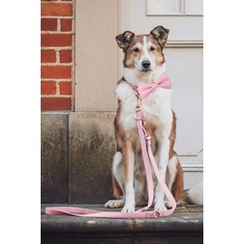 Soft Leather Bowtie Dog Collar - Adjustable Cute Bow Tie Collar [Easy to Clean] with Stylish Rose Gold Heavy Duty Metal Buckle for Small Medium Large Dogs Pink M