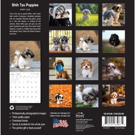 MICASA Shih Tzu Puppies 2025 Wall Calendar 12 Month | 12" x 24" Open | Thick & Sturdy Paper | Giftable | Calendar 2025