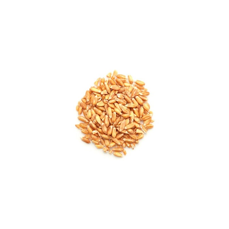 Yupik Organic Spelt Kernels, 2.2 lb (35.2 oz), Non-GMO, Kosher,