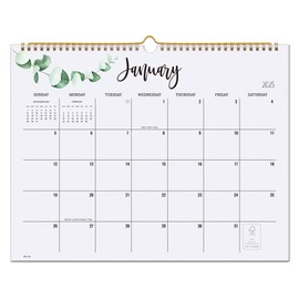 Cabbrix 2025 Year Monthly Wall Calendar, 18 Monthly Calendar from Jan. 2025 - Jun. 2026, Home Schooling Planner for Famialy and School, Wirebound, Large, 15 x 12 Inches