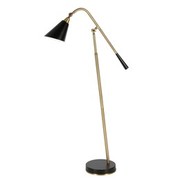 HomeRoots 523465 52 in. Black Swing Arm Floor Lamp with Cone Shade