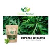 Papaya Leaf Tea 8 Oz(Crushed, Dried, 8 OZ), Dried from