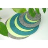 Round Place Mat Felt Coaster in 35 cm, Apple Green