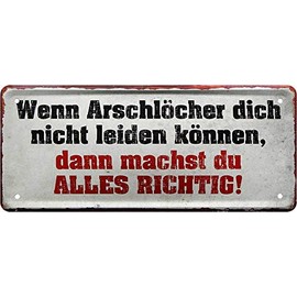 Tin Sign Funny Saying "Wenn Arschlöcher Dich Nicht Leiden kann." Decorative Sign Metal Sign House Entrance Gift Idea Door Humour Funny Gift for Birthday or Christmas 28 x 12 cm
