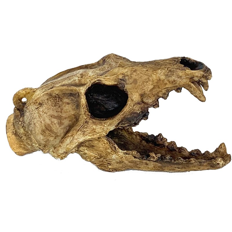 Screaming Aztec Death Whistle at 135 decibels - Carnivore by