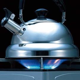 Bestco NQ-0028 Fluted Kettle, Whistling Kettle, 3.7 gal (1.9 L), Fast Boiling, Stainless Steel, IH Compatible